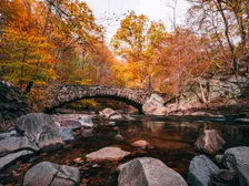 Autumn trees surround the stone arch of Boulder Bridge above Rock Creek.
